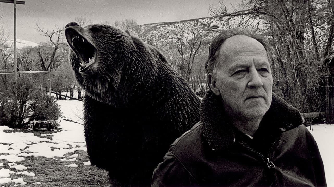 Grizzly Man - immagine