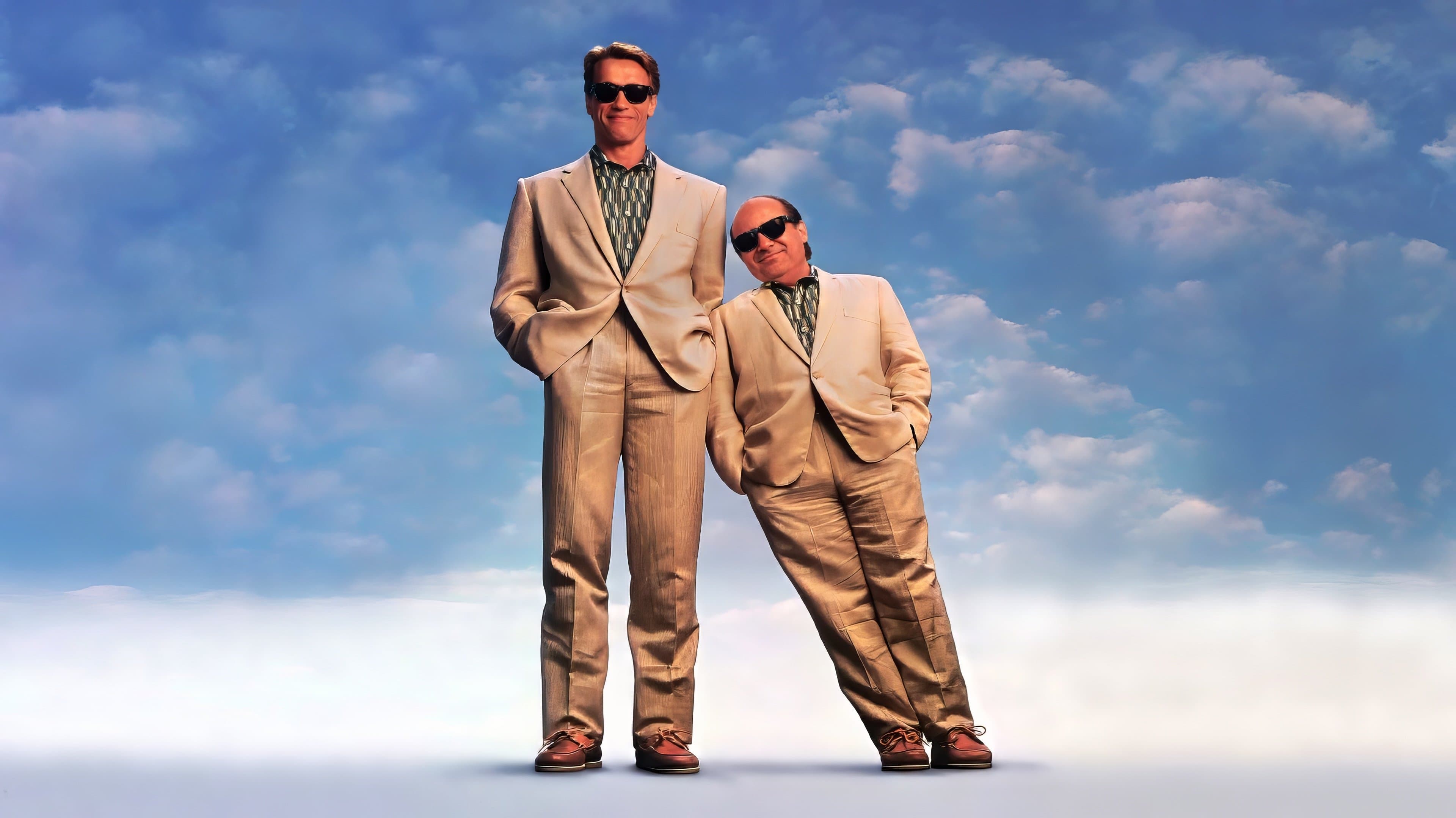 I gemelli - immagine