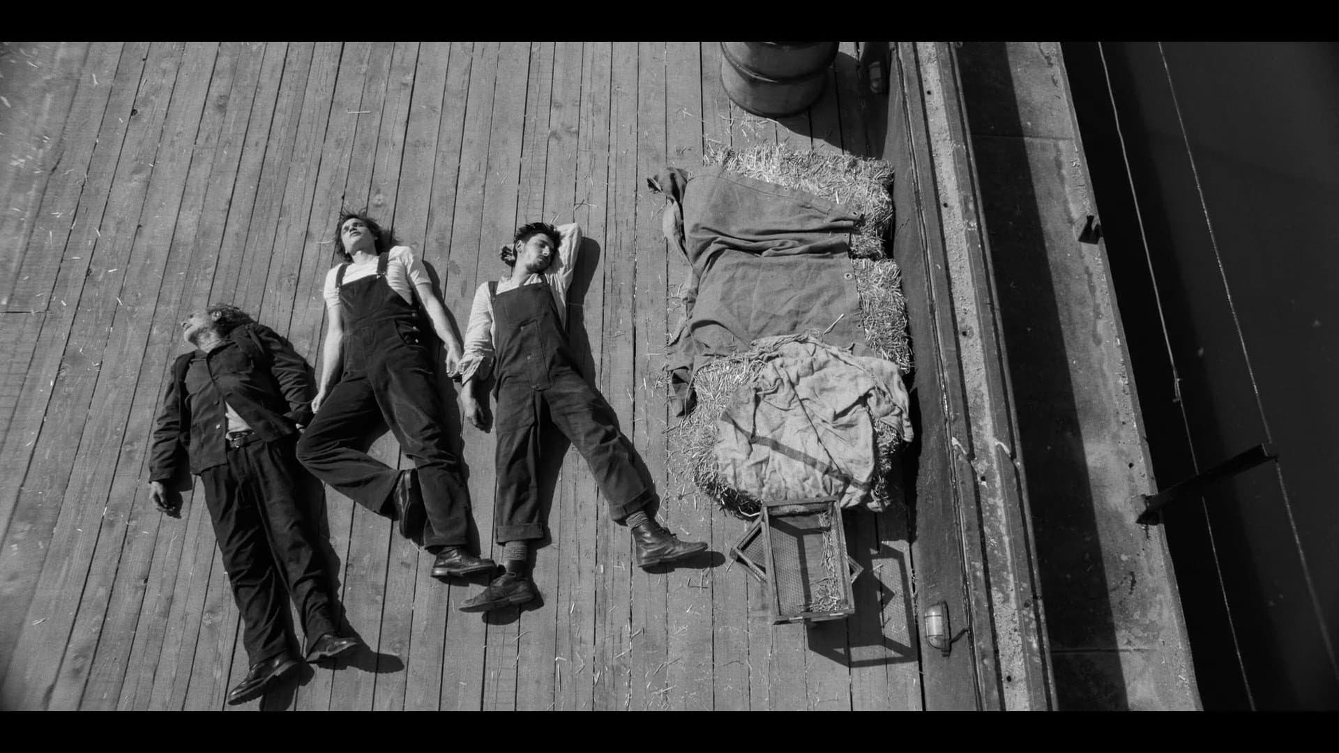 Izlet - immagine