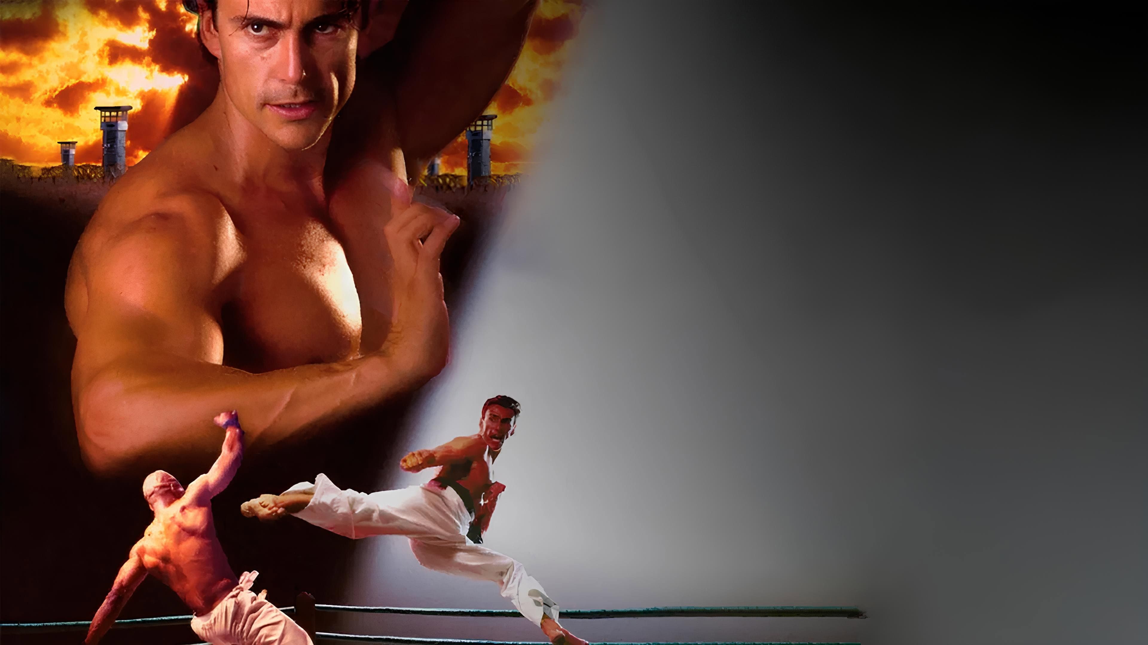 Bloodsport: The Dark Kumite - immagine