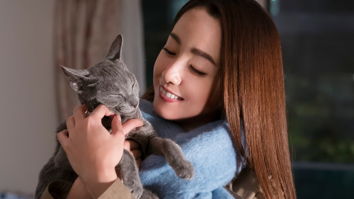 猫は抱くもの - immagine