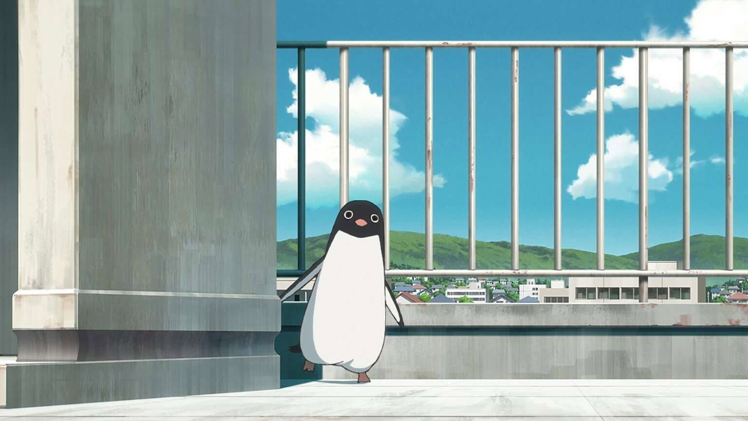 Penguin Highway - immagine