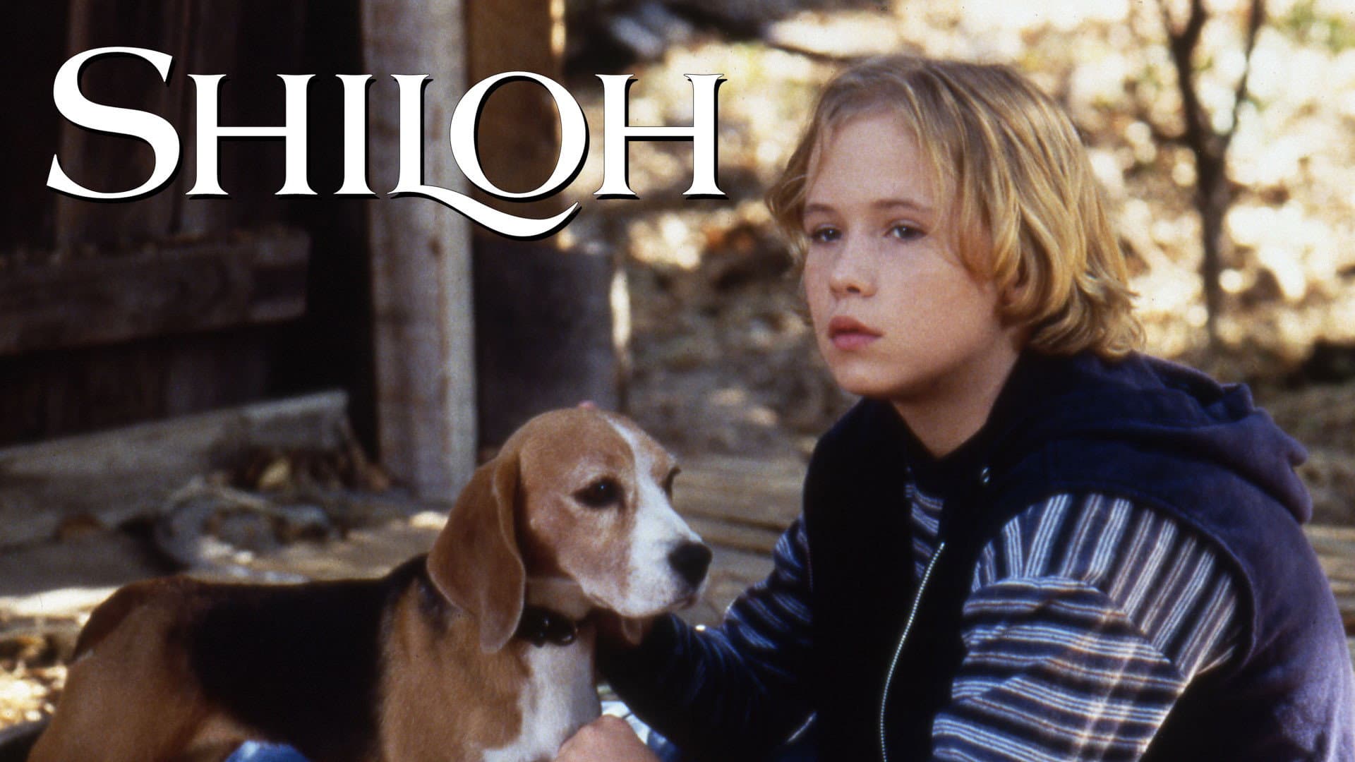 Shiloh, un cucciolo per amico - immagine