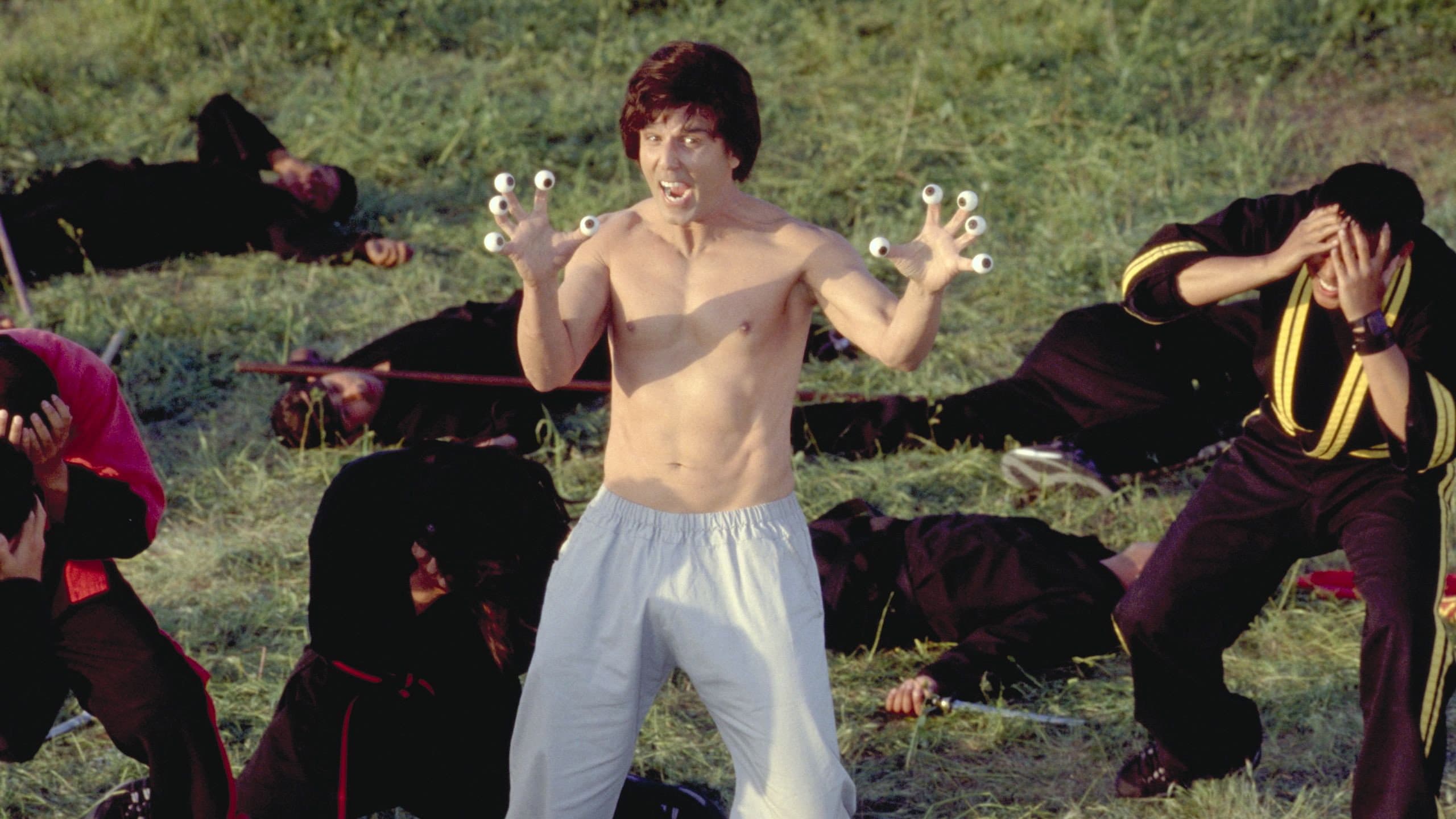Kung Pow - immagine