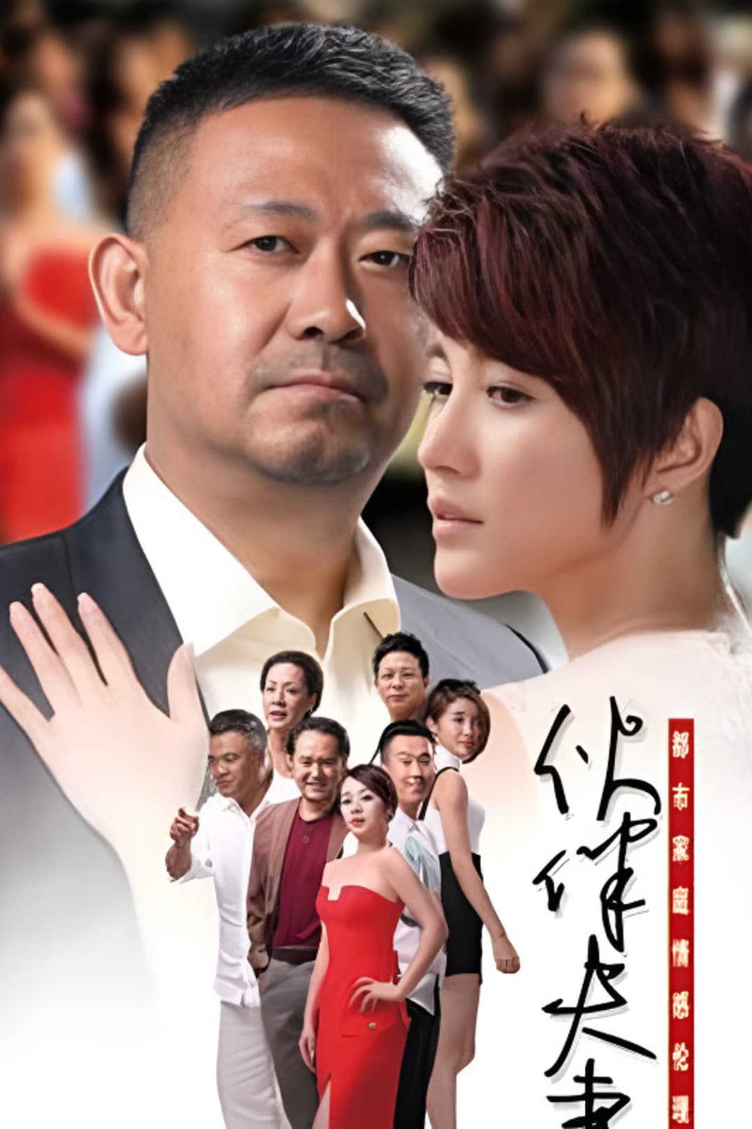 Poster di 伙伴夫妻