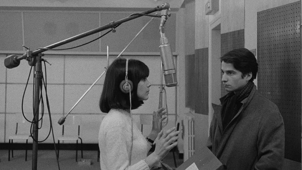 Il maschio e la femmina - immagine