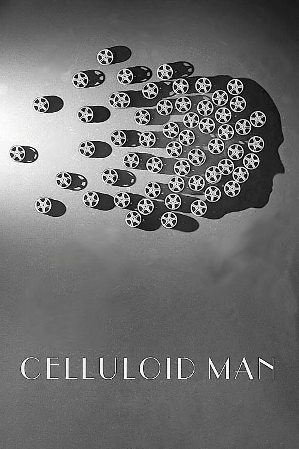 Poster di Celluloid Man