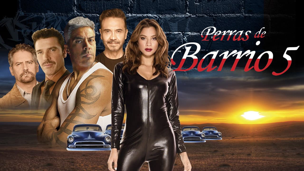 Perras de barrio 5 - immagine