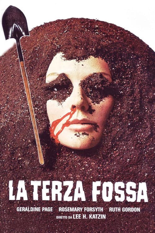 Poster di La terza fossa