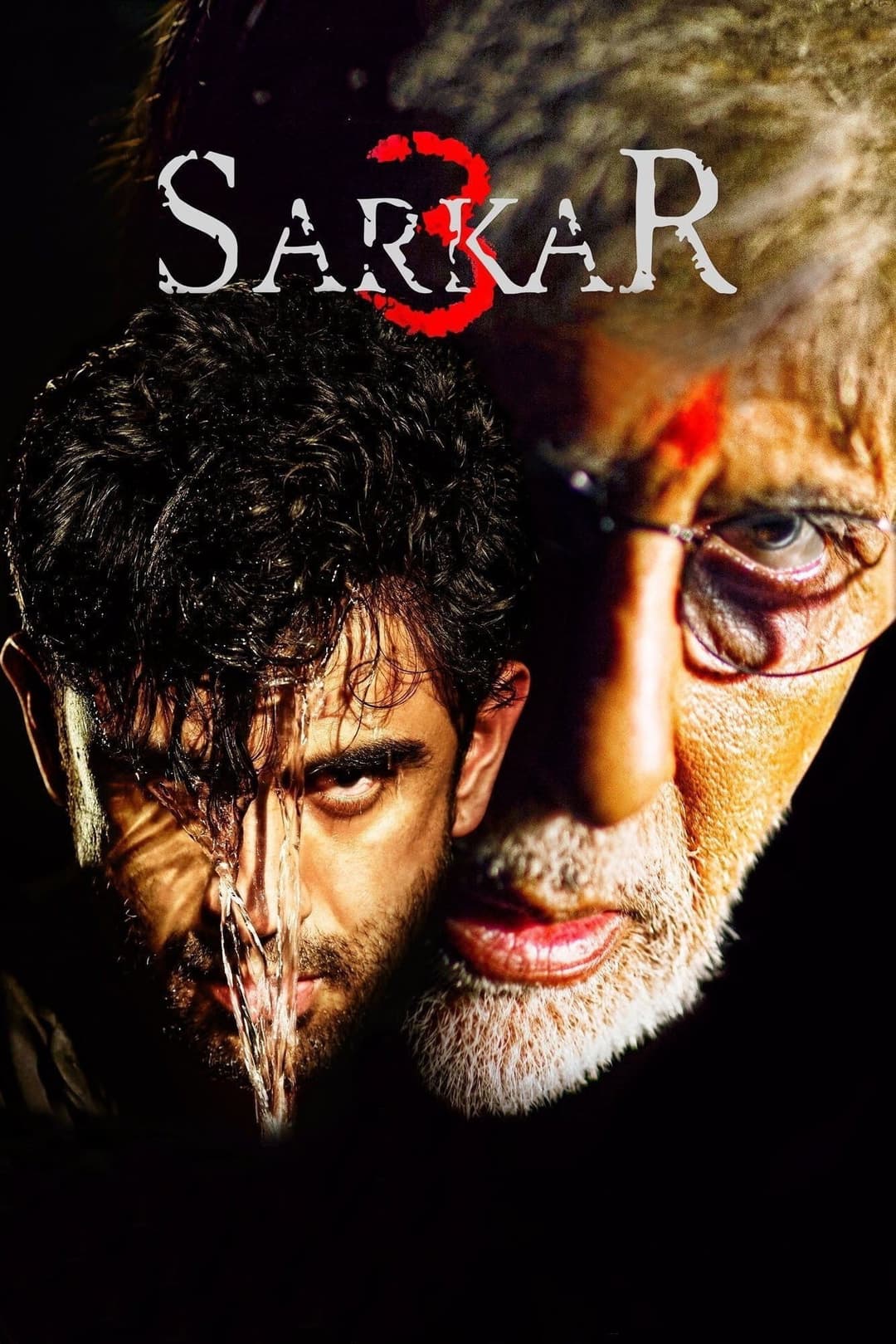 Poster di सर्कार ३