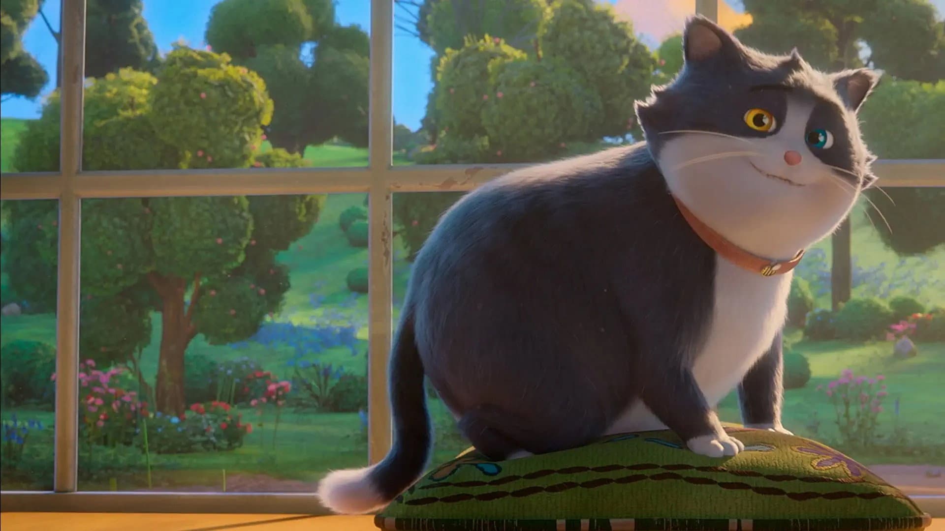 10 Lives - Un gatto fortunato - immagine