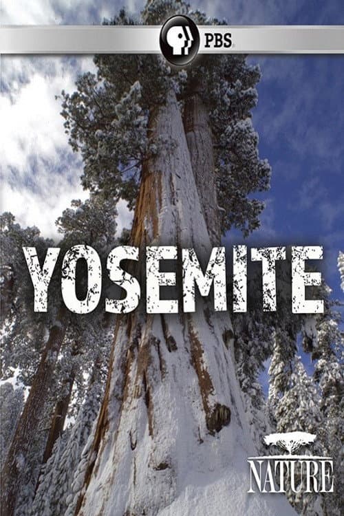 Poster di Nature: Yosemite