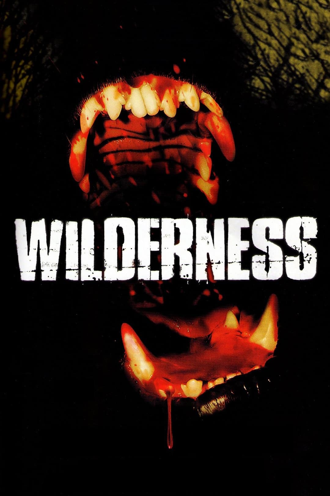 Poster di Wilderness