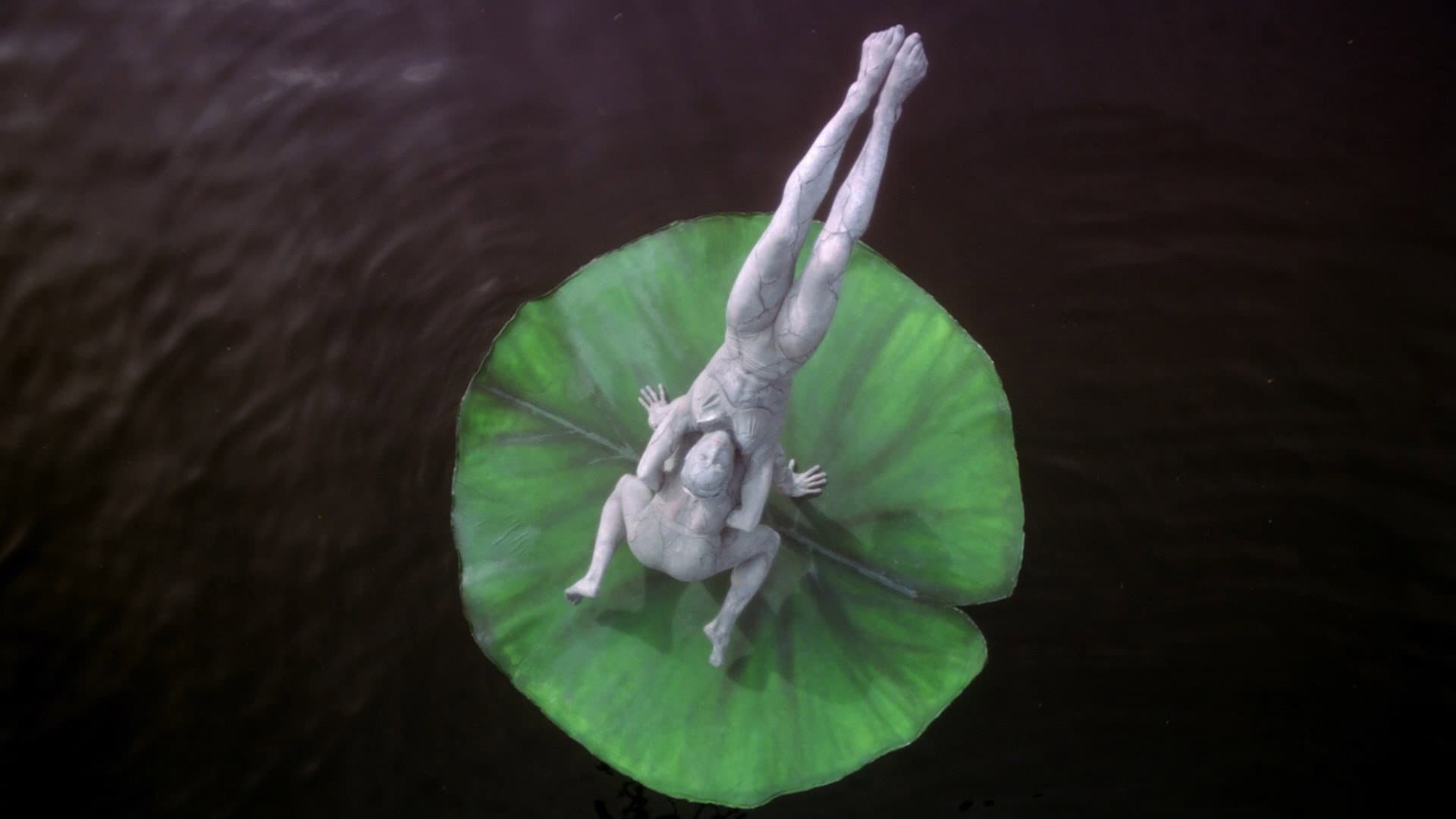 Cirque du Soleil: Journey of Man - immagine