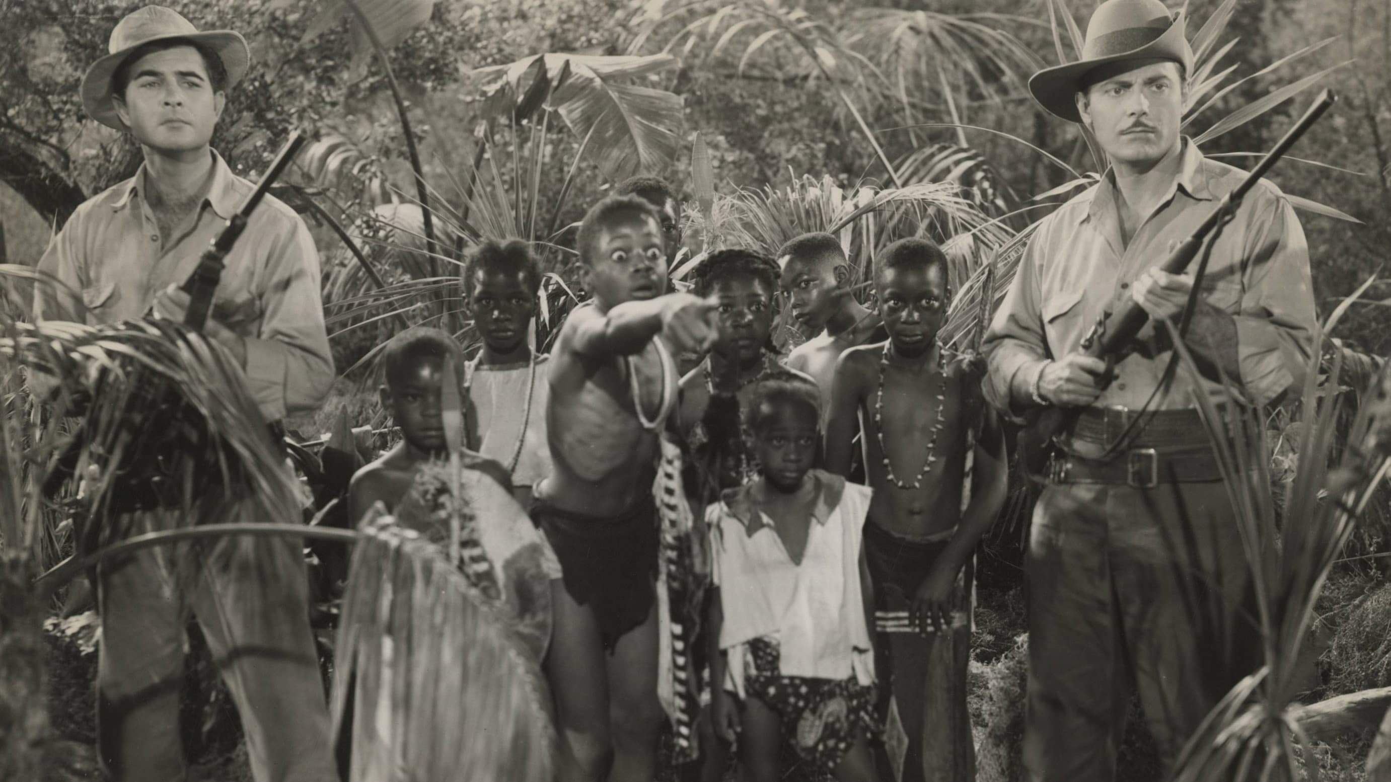 Zamba - immagine