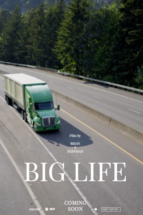 Poster di Big Life