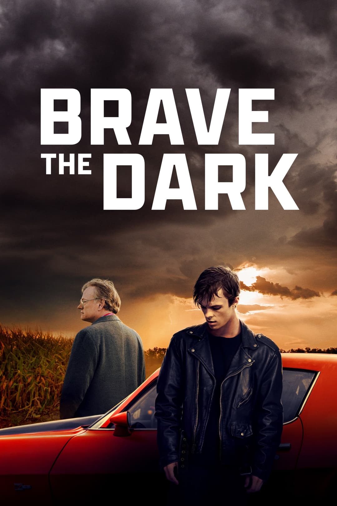 Poster di Brave the Dark
