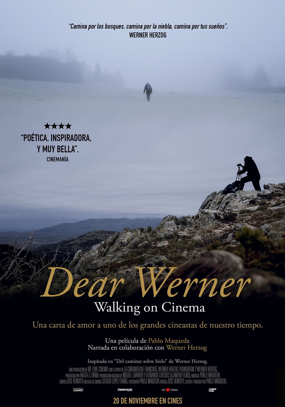 Poster di Dear Werner (Walking on Cinema)