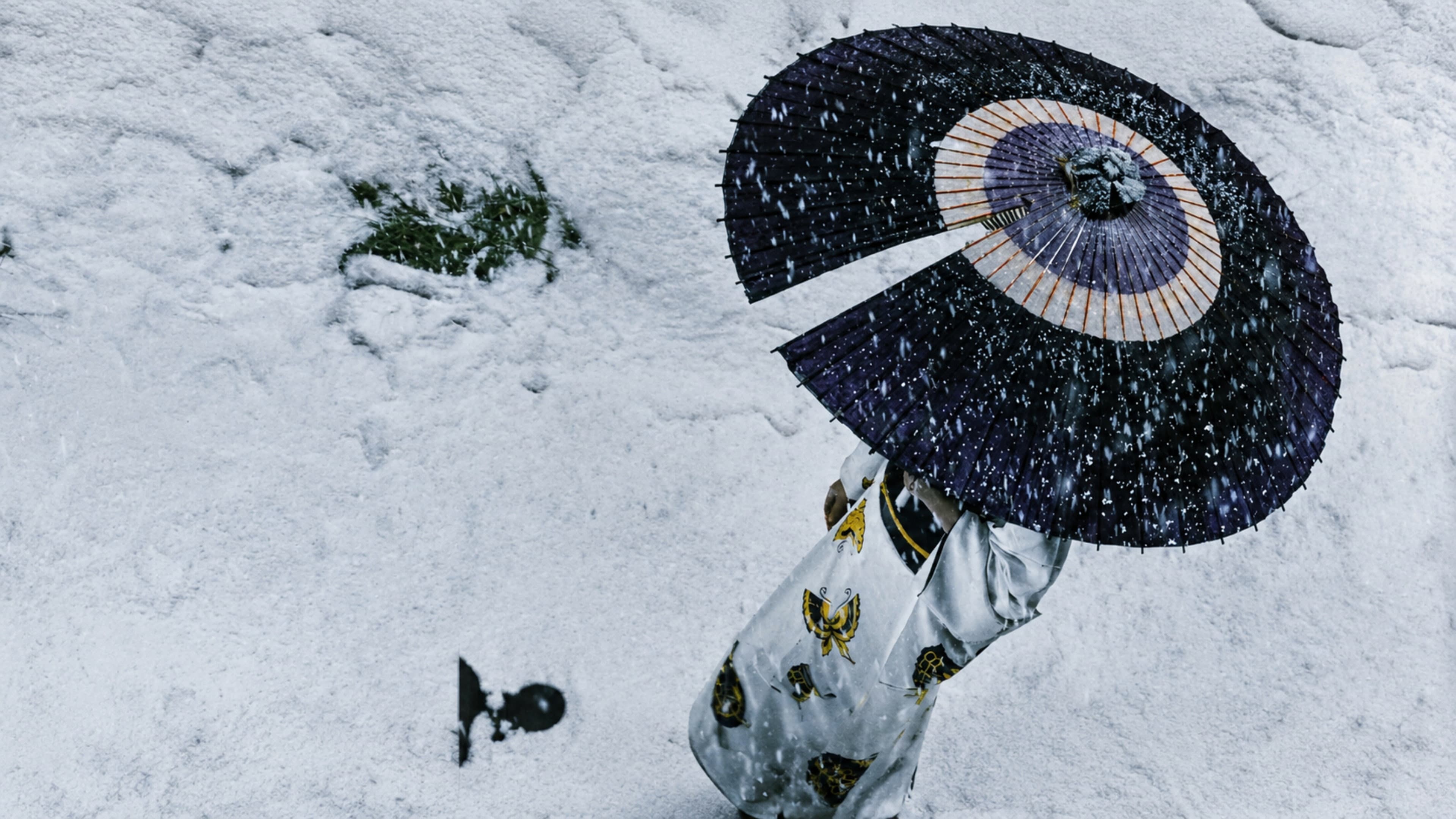 Lady Snowblood - immagine
