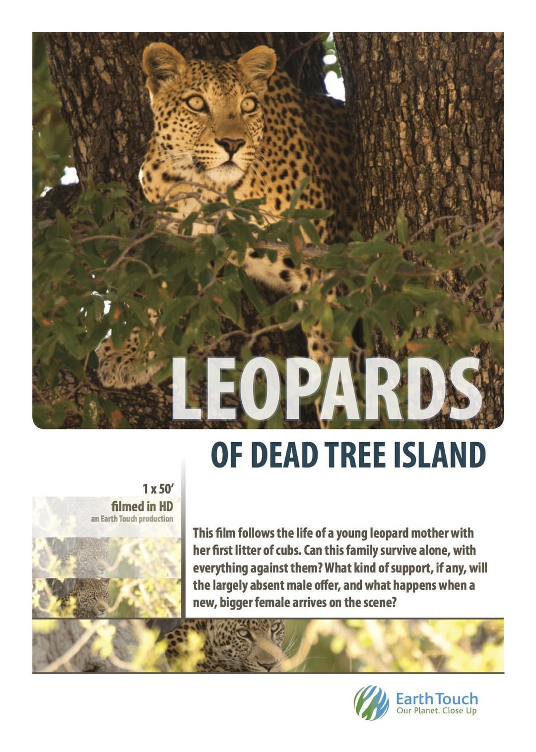 Poster di Leopards of Dead Tree Island