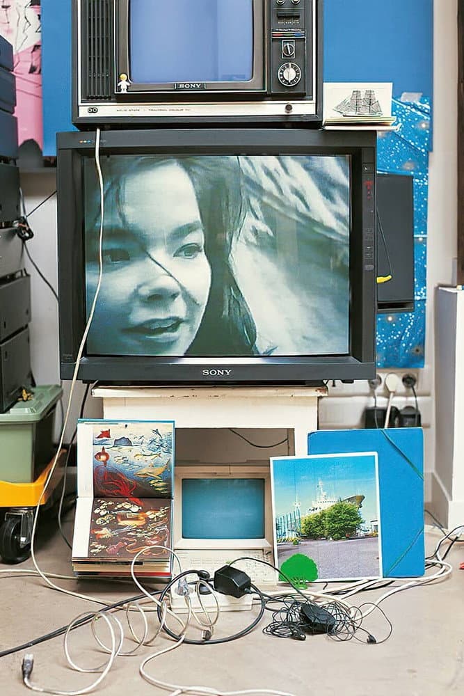 Poster di Björk: Vessel 1994