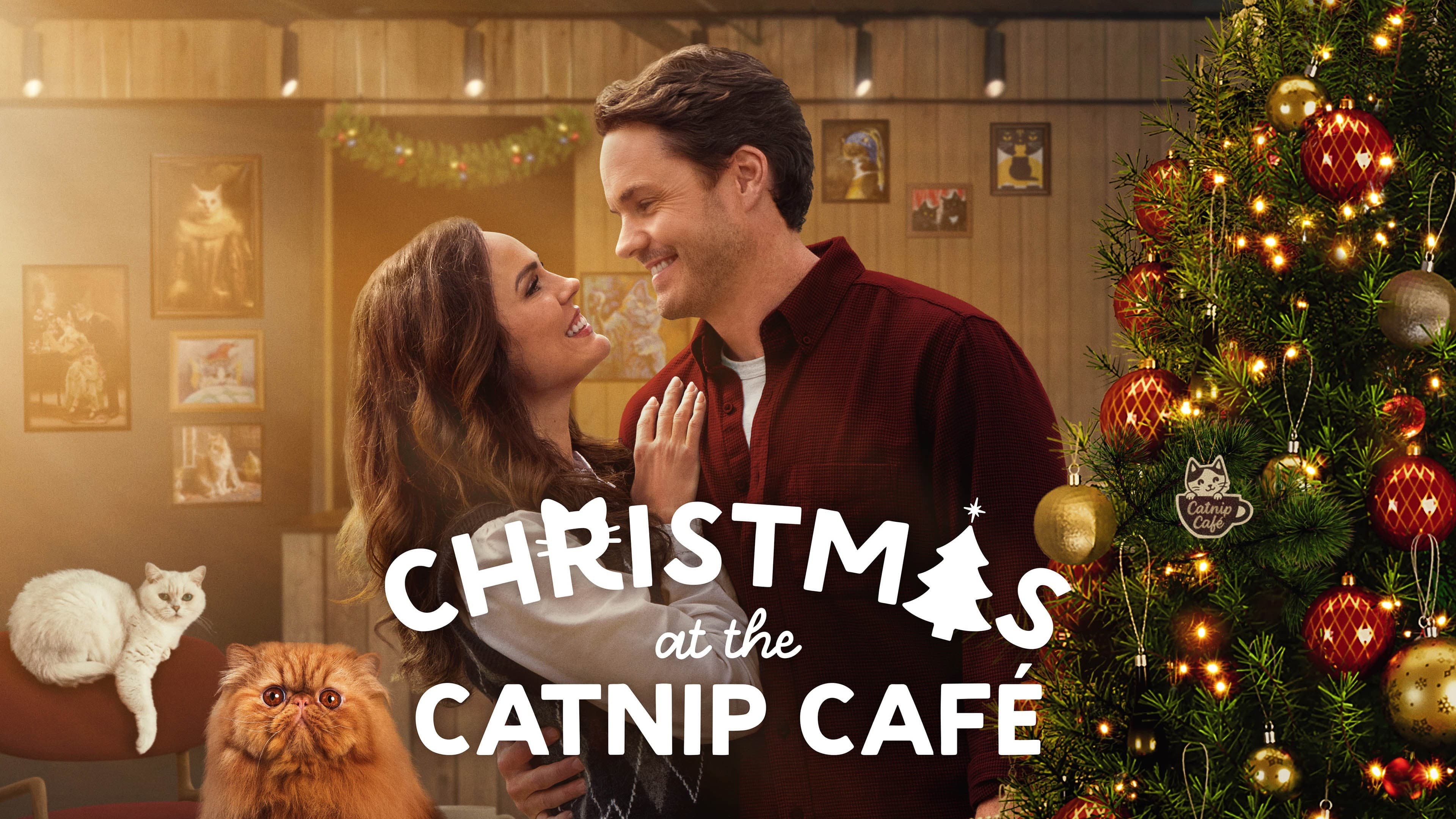 Christmas at the Catnip Café - immagine