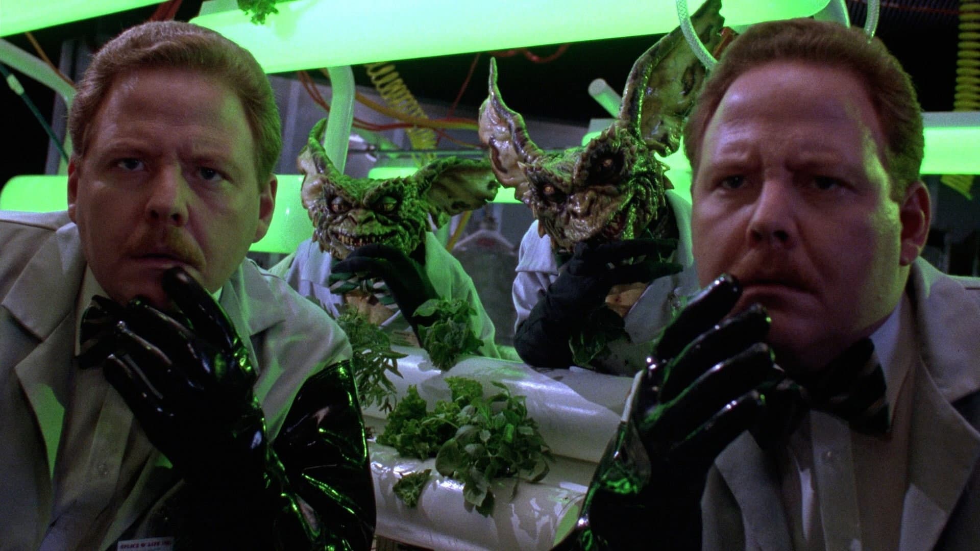 Gremlins 2 - La nuova stirpe - immagine