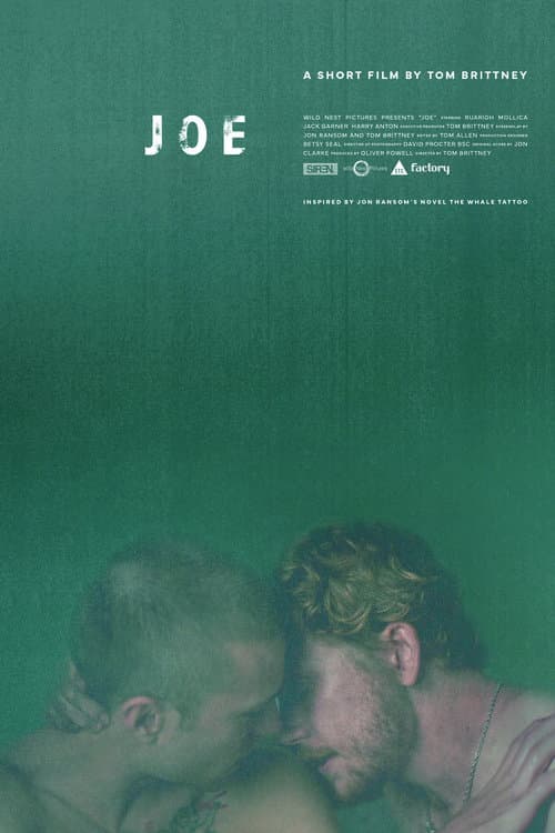 Poster di Joe