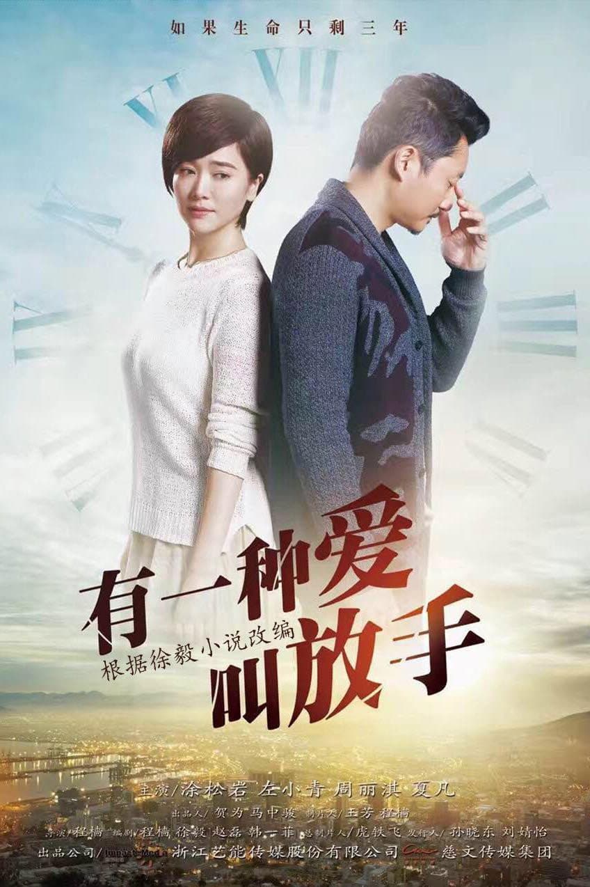 Poster di 家年华