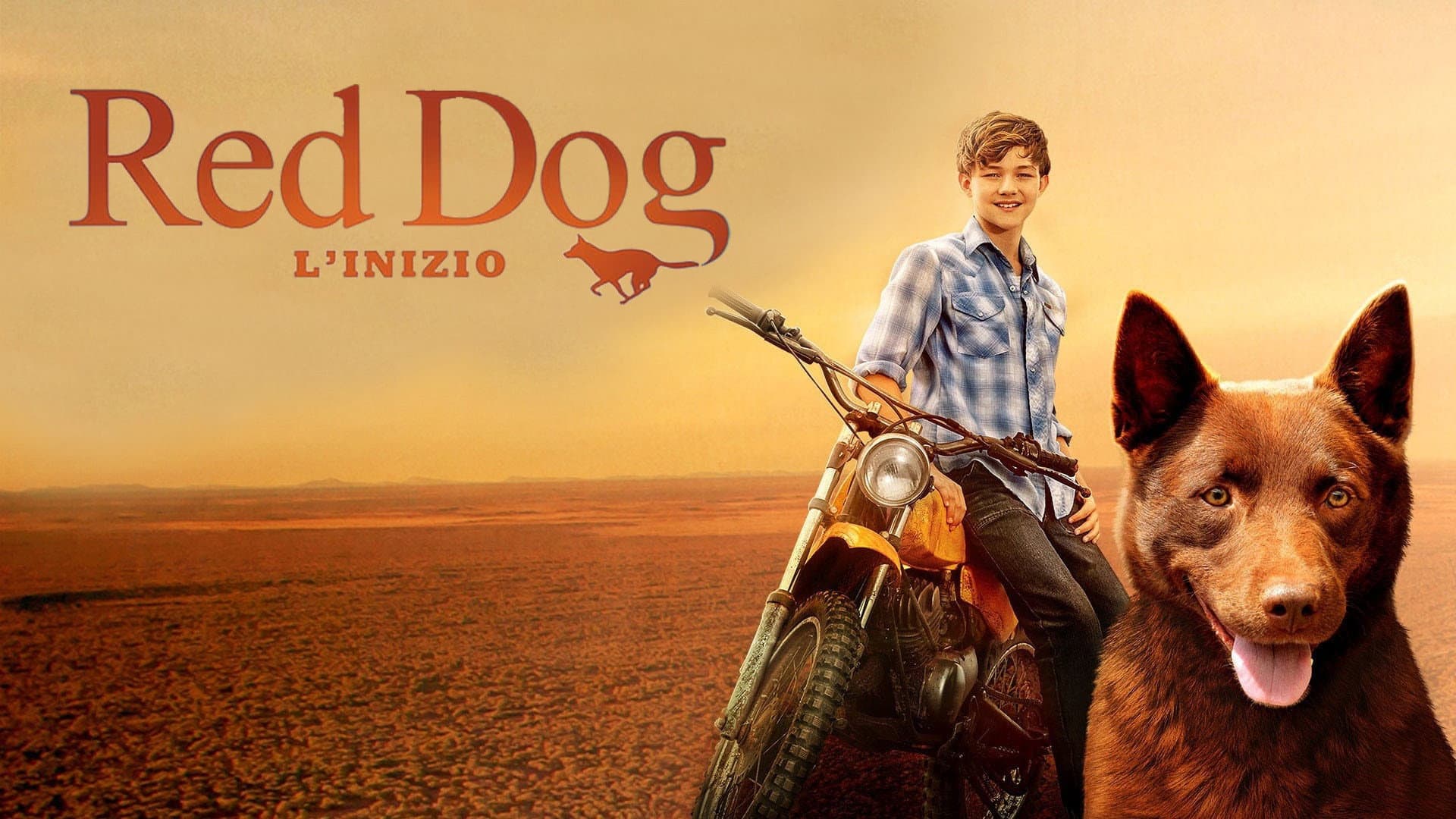 Red Dog: L'inizio - immagine