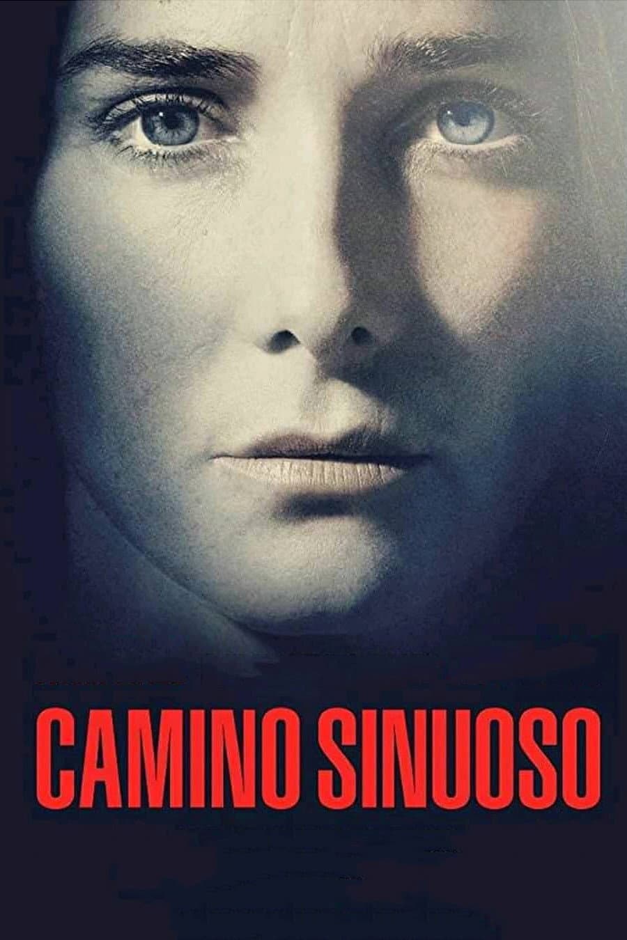 Poster di Camino sinuoso