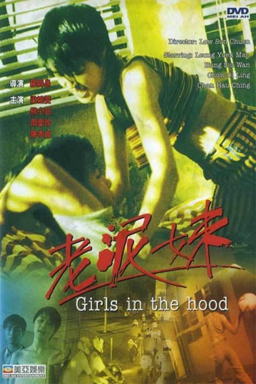 Poster di 老泥妹
