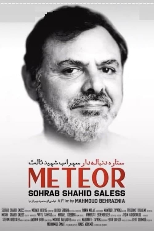 Poster di ستاره دنباله دار: سهراب شهید ثالث