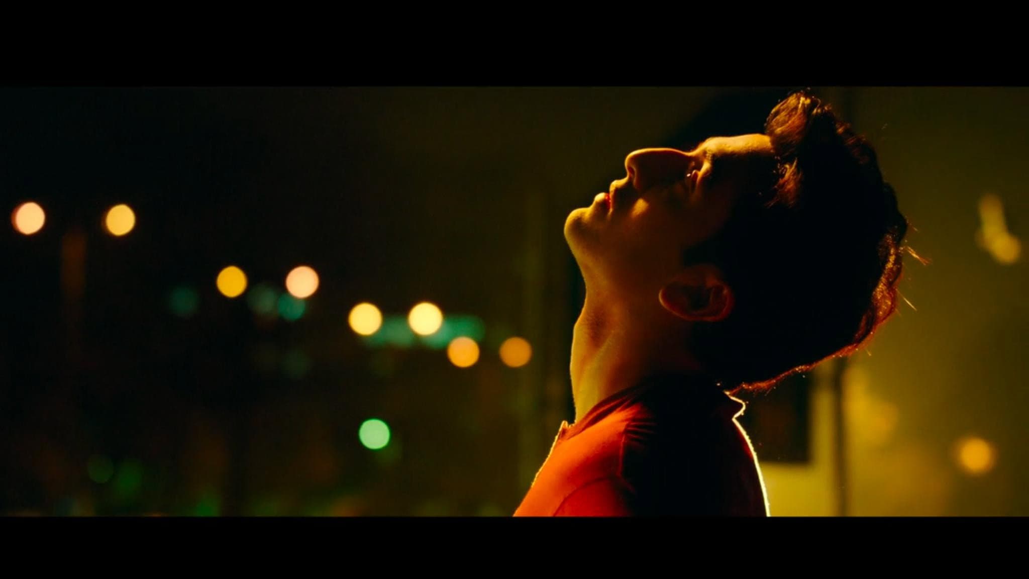 Tamasha - immagine