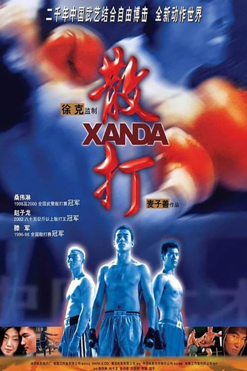 Poster di 散打