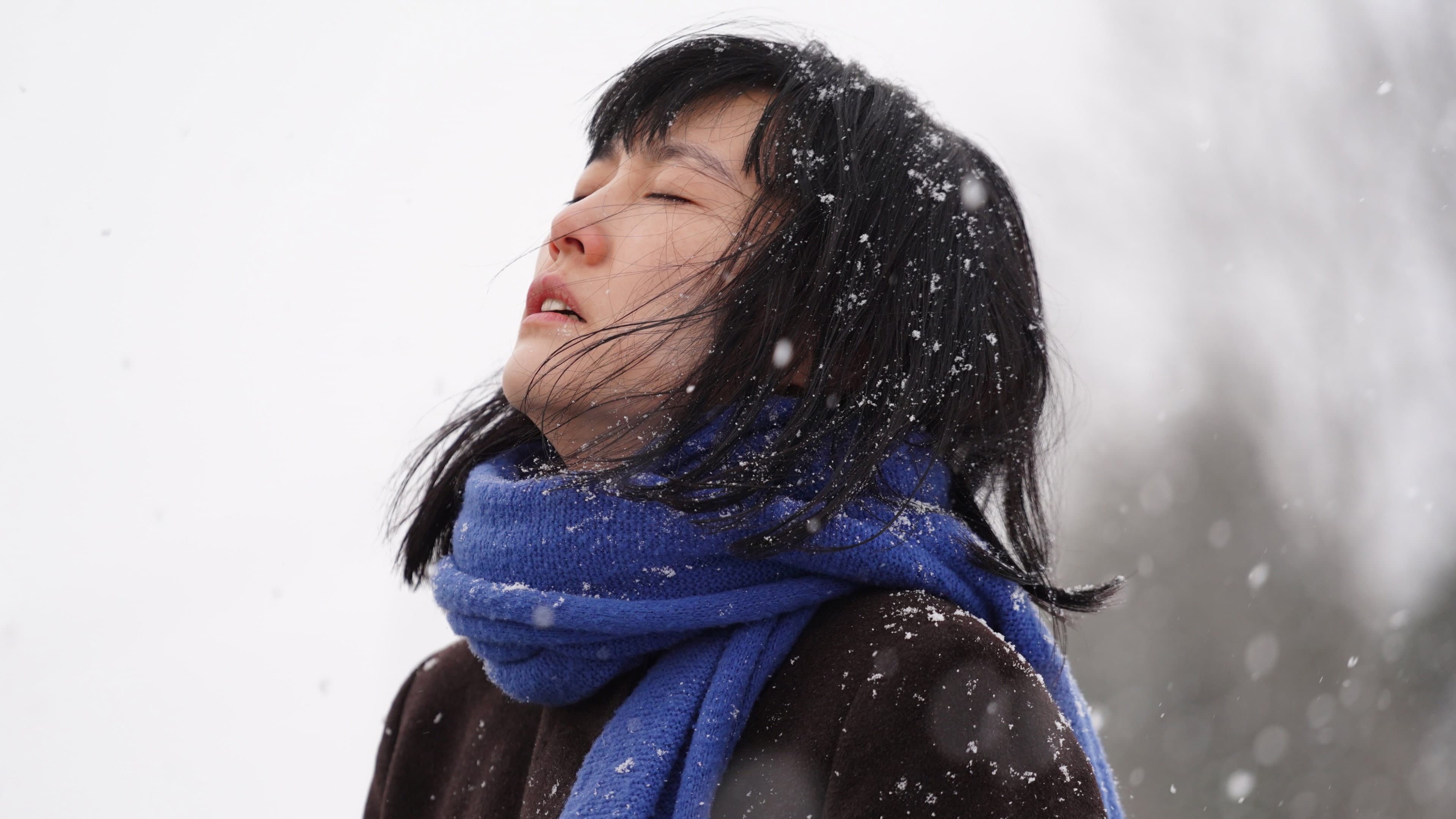 658km、陽子の旅 - immagine