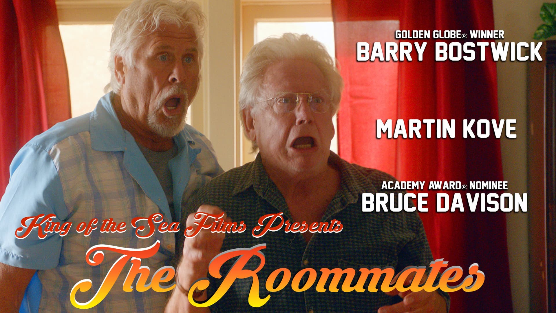 The Roommates - immagine
