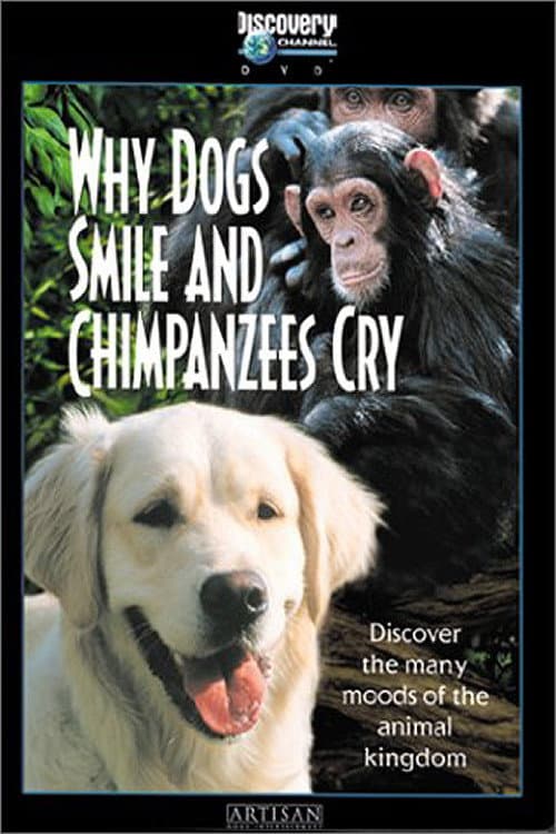 Poster di Why Dogs Smile and Chimpanzees Cry