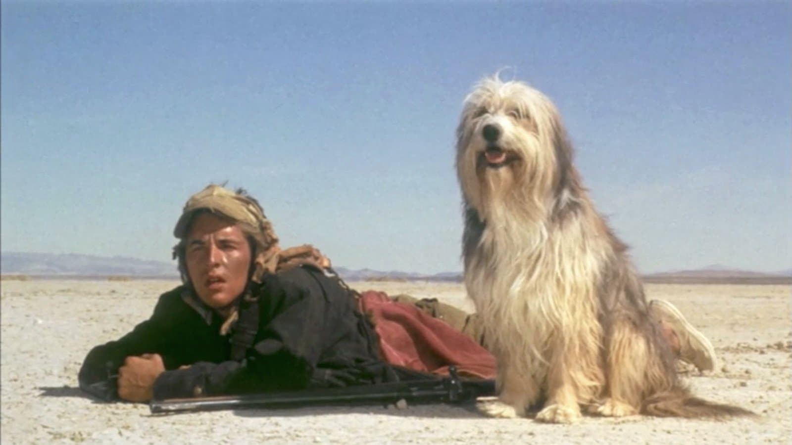 Apocalypse 2024 - Un ragazzo, un cane, due inseparabili amici - immagine