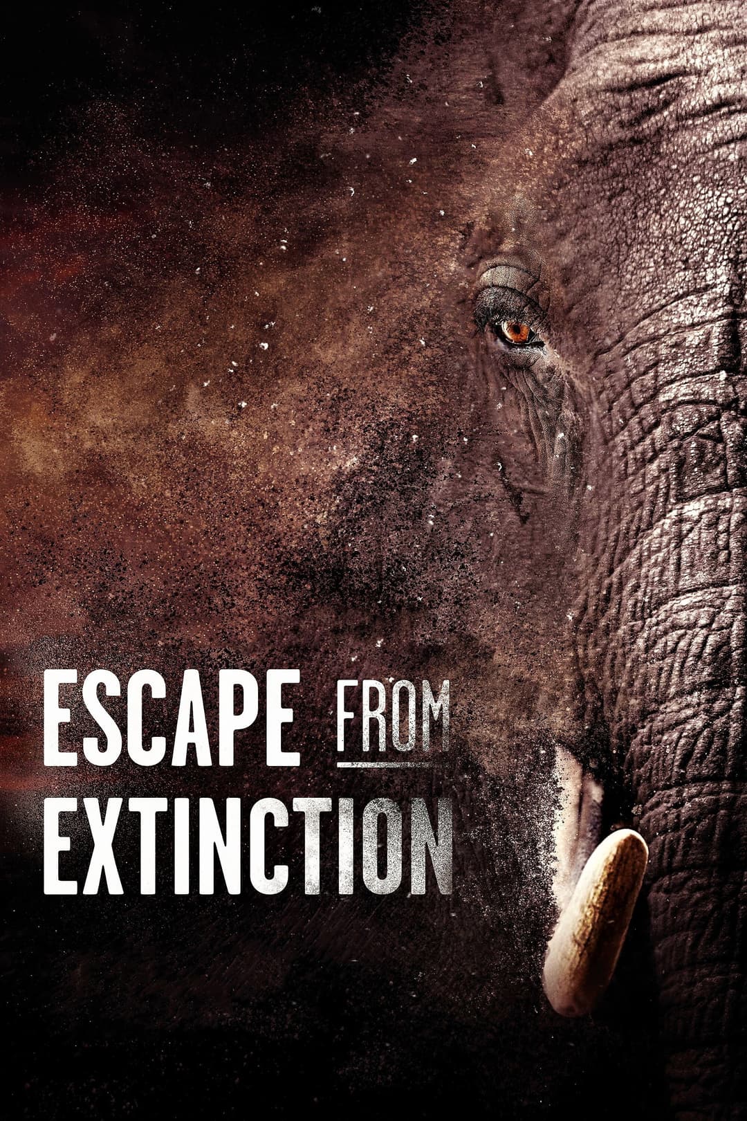 Poster di Escape from Extinction