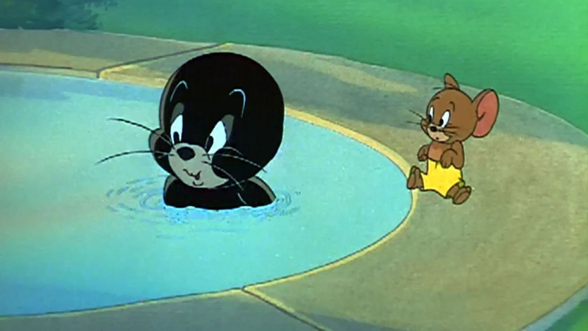 La foca evasa - immagine