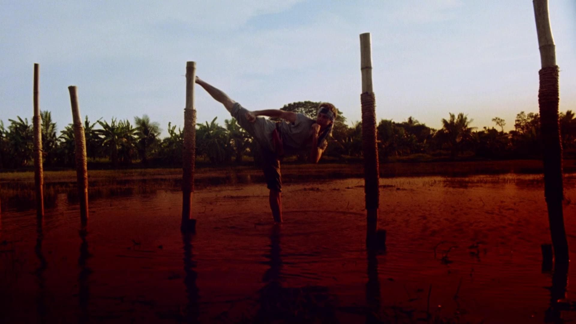 Il re dei kickboxers - immagine
