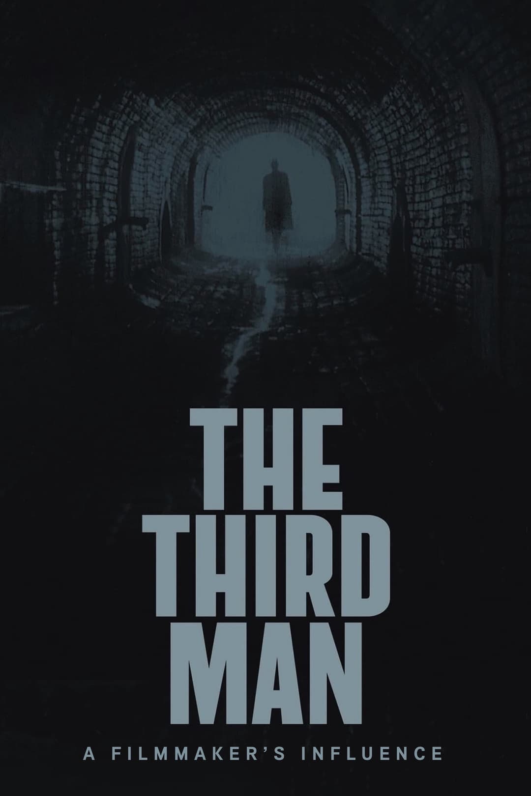 Poster di The Third Man: A Filmmaker's Influence