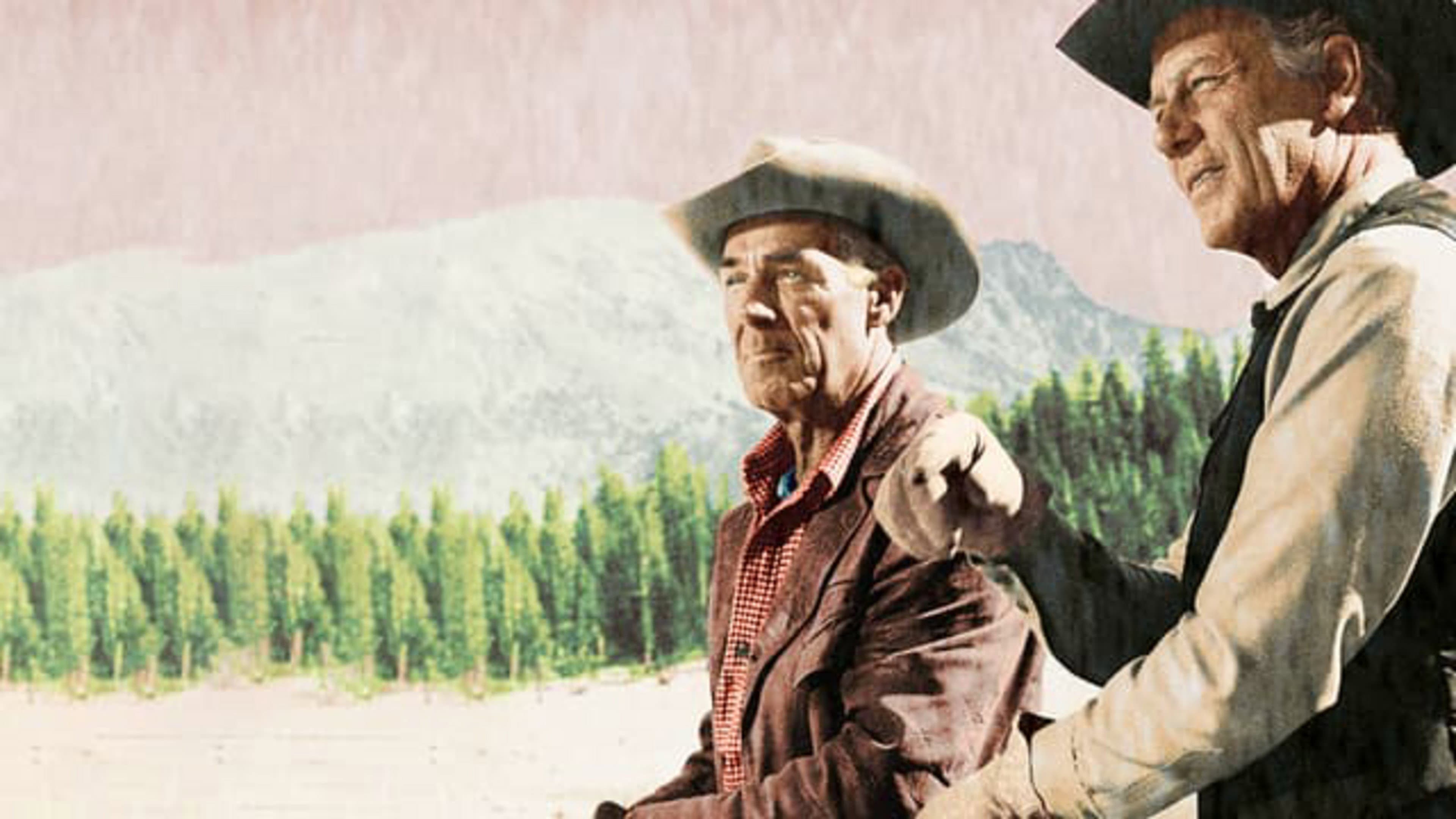 Sfida nell'alta Sierra - immagine