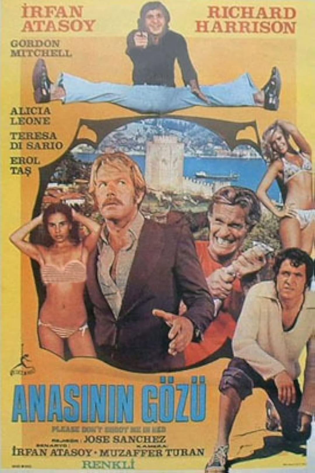 Poster di Anasının Gözü