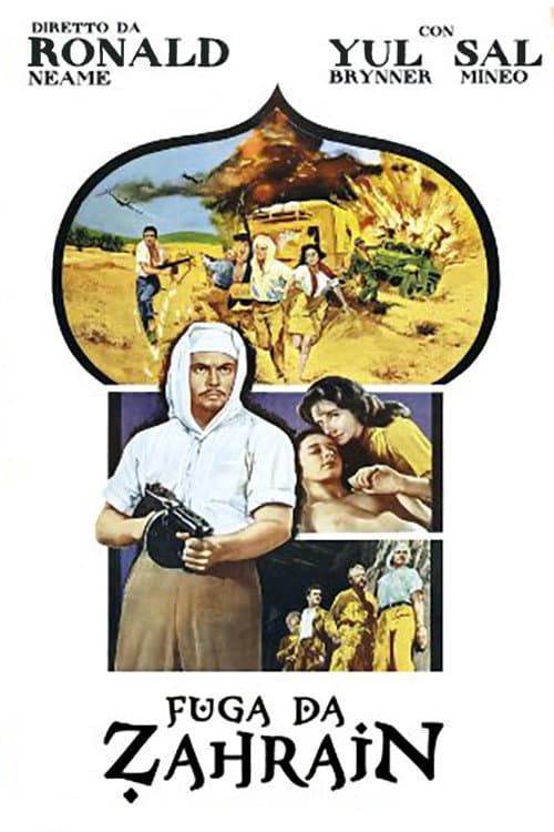Poster di Fuga da Zahrain