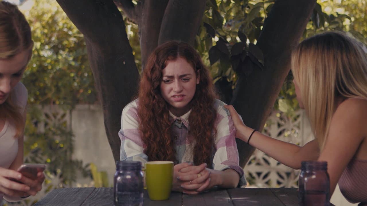 The Last Virgin in LA - immagine