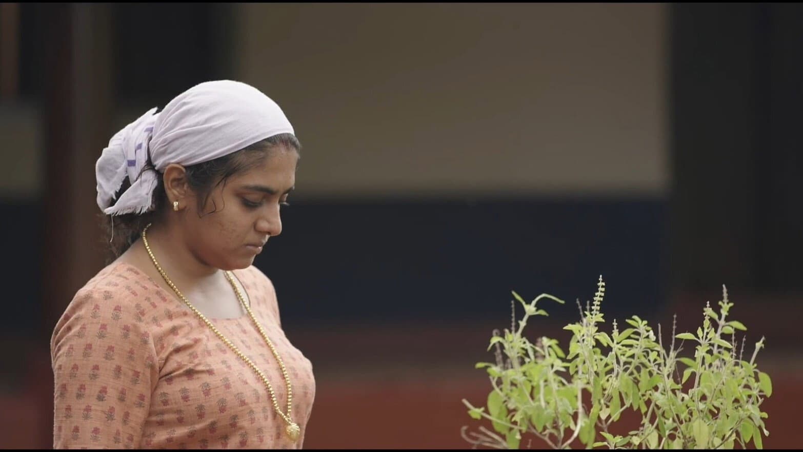 മഹത്തായ ഭാരതീയ അടുക്കള - immagine