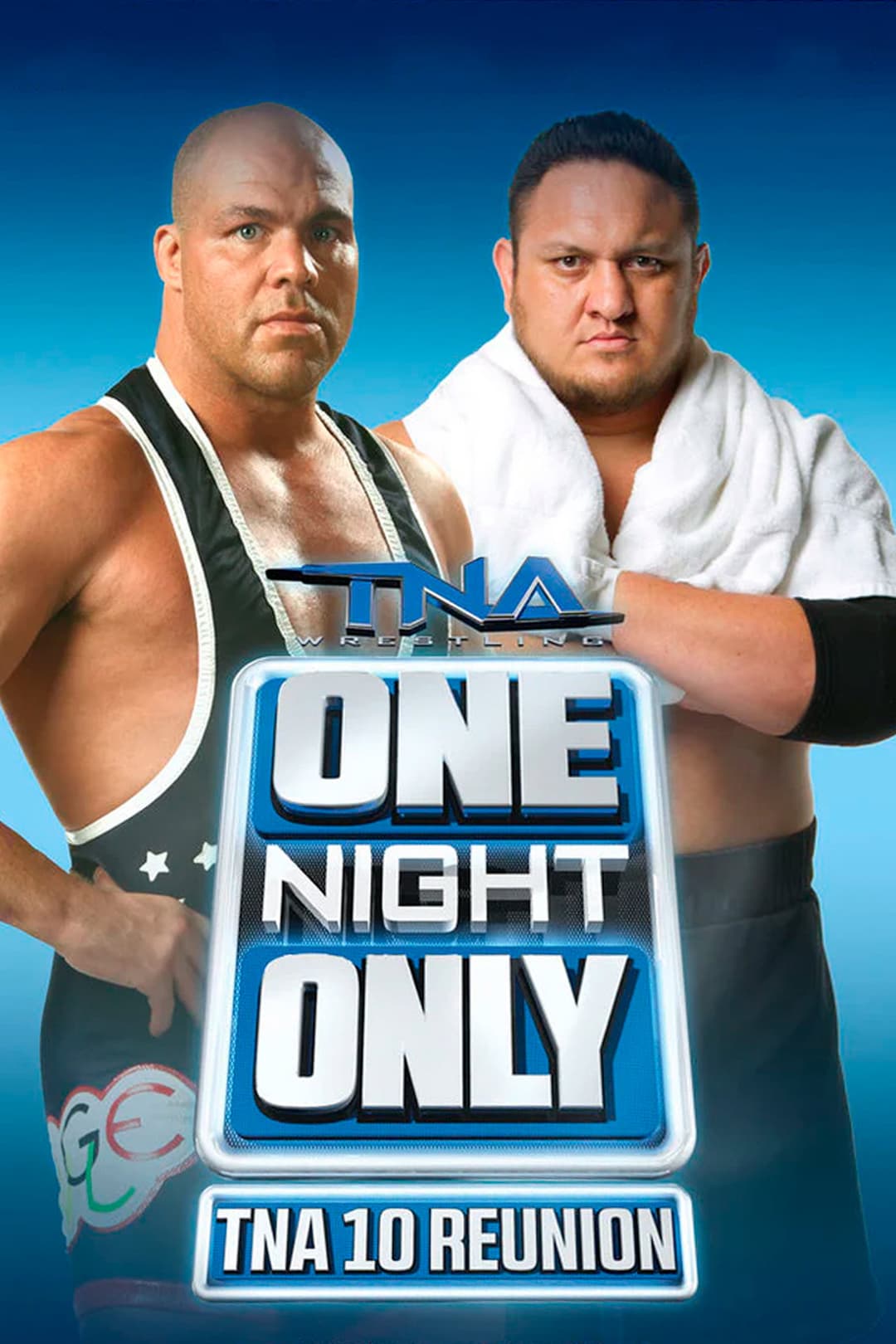 Poster di TNA One Night Only: 10 Reunion 2013