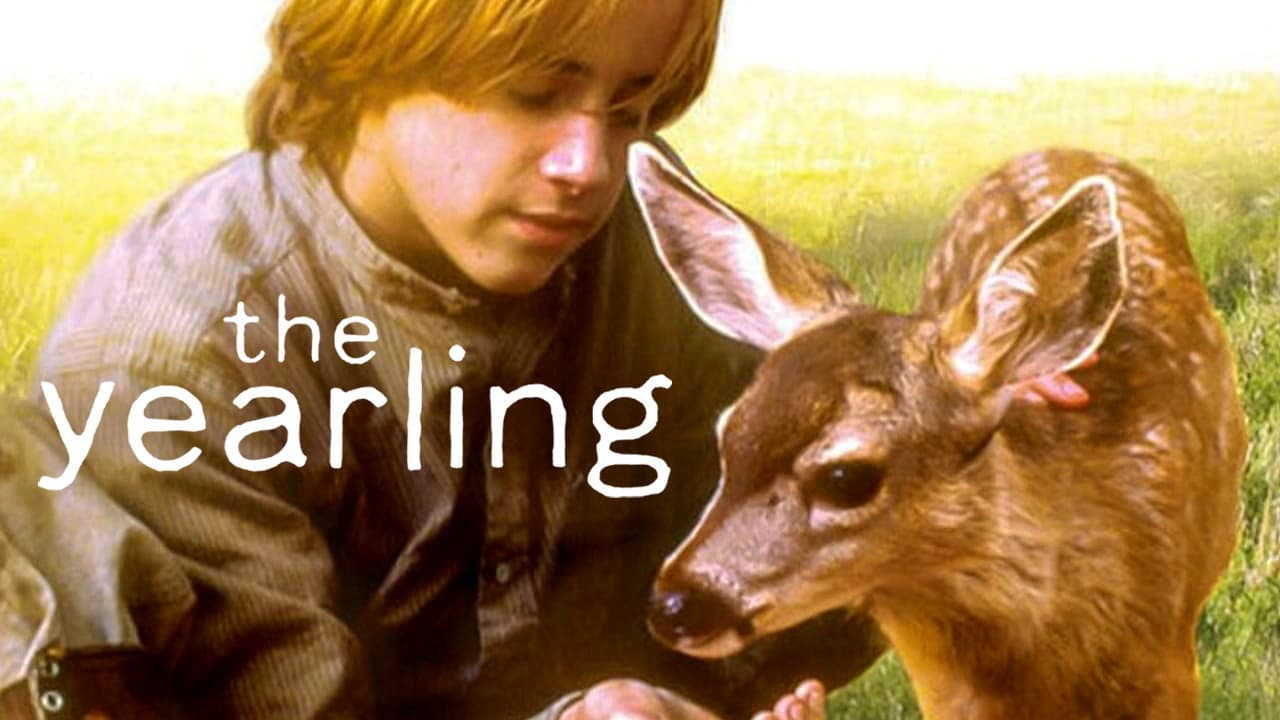 The Yearling - immagine
